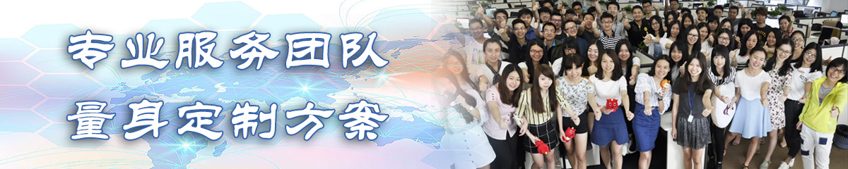 衡水BI软件
